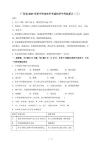 广东省2025年初中学业水平考试中考化学总复习（三）（含答案）