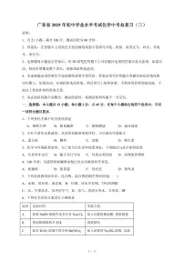 广东省2025年初中学业水平考试中考化学总复习（三）（含答案）