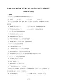 湖北省黄石市黄石港区2025届九年级上学期11月期中考试化学试卷（含答案）