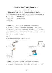 湖北省武汉市东西湖区2025~2026学年九年级上学期10月考化学试卷（含答案）