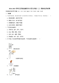 江苏省盐城市大丰区2024-2025学年九年级上学期期末化学试卷