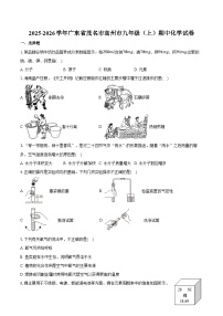 2025-2026学年广东省茂名市高州市九年级（上）期中化学试卷（含答案）