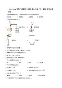 2025-2026学年广西贺州市昭平县九年级（上）期中化学试卷（含答案）