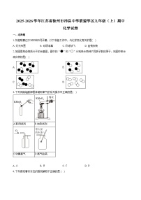 2025-2026学年江苏省徐州市沛县中学联盟学区九年级（上）期中化学试卷（含答案）