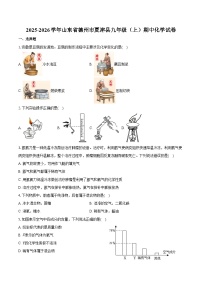 2025-2026学年山东省德州市夏津县九年级（上）期中化学试卷（含答案）