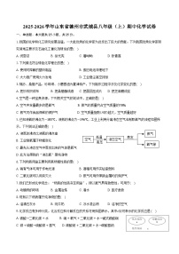 2025-2026学年山东省德州市武城县八年级（上）期中化学试卷（含答案）