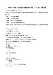 2025-2026学年山东省菏泽市郓城县九年级（上）期中化学试卷（含答案）