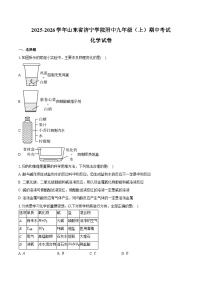 2025-2026学年山东省济宁学院附中九年级（上）期中化学试卷（含答案）