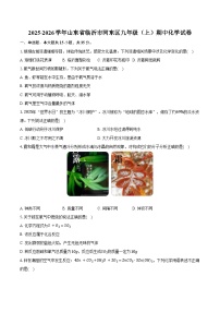 2025-2026学年山东省临沂市河东区九年级（上）期中化学试卷（含答案）