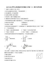 2025-2026学年山东省临沂市沂南县九年级（上）期中化学试卷（含答案）