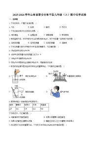 2025-2026学年山东省泰安市东平县九年级（上）期中化学试卷（含答案）