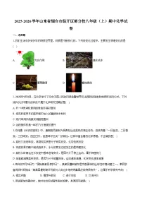 2025-2026学年山东省烟台市经开区部分校八年级（上）期中化学试卷（含答案）