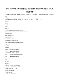 2025-2026学年上海市浦东新区民办进德外国语中学九年级（上）期中化学试卷（含答案）