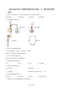 2025-2026学年广西贺州市昭平县九年级（上）期中化学试卷（含答案）
