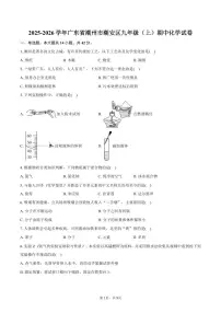 2025-2026学年广东省潮州市潮安区九年级（上）期中化学试卷（含答案）