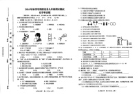 海南省澄迈县2024-2025学年九年级上学期期末考试化学试题