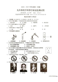 海南省文昌市2024-2025学年九年级上学期期末考试化学试题