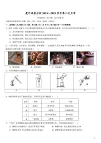福建省厦门市外国语学校瑞景分校2024-2025学年九年级上学期第二次月考化学试题