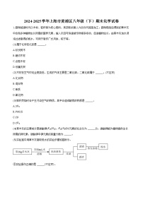 2024-2025学年上海市黄浦区八年级（下）期末化学试卷（含答案）