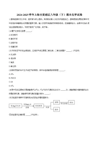 2024-2025学年上海市黄浦区八年级（下）期末化学试卷（含答案）