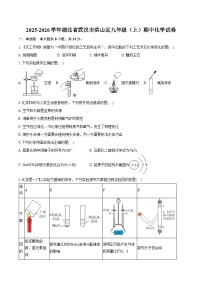 2025-2026学年湖北省武汉市洪山区九年级（上）期中化学试卷（含答案）