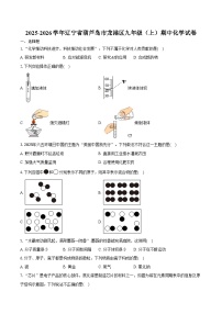 2025-2026学年辽宁省葫芦岛市龙港区九年级（上）期中化学试卷（含答案）