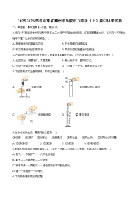 2025-2026学年山东省德州市乐陵市八年级（上）期中化学试卷（含答案）