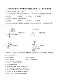 2025-2026学年山东省德州市乐陵市九年级（上）期中化学试卷（含答案）
