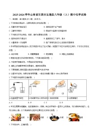 2025-2026学年山东省日照市五莲县八年级（上）期中化学试卷（含答案）