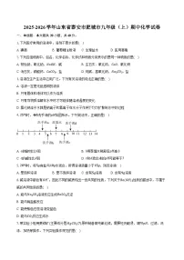2025-2026学年山东省泰安市肥城市九年级（上）期中化学试卷（含答案）