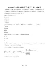 2024-2025学年上海市黄浦区八年级（下）期末化学试卷（含答案）