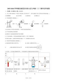2025-2026学年湖北省武汉市洪山区九年级（上）期中化学试卷（含答案）