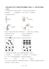 2025-2026学年辽宁省葫芦岛市龙港区九年级（上）期中化学试卷（含答案）