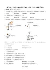 2025-2026学年山东省德州市乐陵市九年级（上）期中化学试卷（含答案）