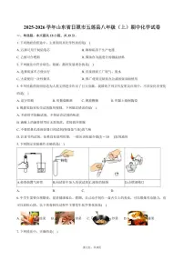 2025-2026学年山东省日照市五莲县八年级（上）期中化学试卷（含答案）