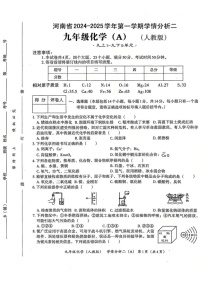 河南省安阳市2024-2025学年考试九年级上学期期末化学测试卷