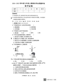 河南省漯河市召陵区2024-2025学年九年级上学期1月期末化学试题