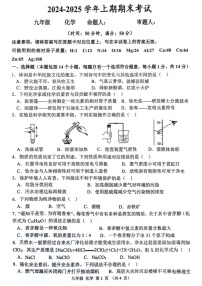 河南省实验中学2024-2025学年九年级上学期期末考试化学试题