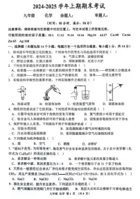 河南省实验中学2024-2025学年九年级上学期期末考试化学试题