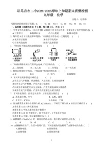 河南省驻马店市第二初级中学2024-2025学年九年级上学期1月期末化学试题