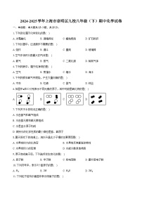 2024-2025学年上海市崇明区九校八年级（下）期中化学试卷（含答案）