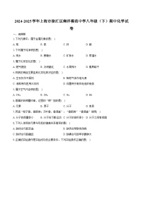 2024-2025学年上海市徐汇区南洋模范中学八年级（下）期中化学试卷（含答案）