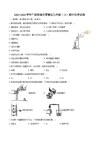 2025-2026学年广西贵港市覃塘区九年级（上）期中化学试卷（含答案）