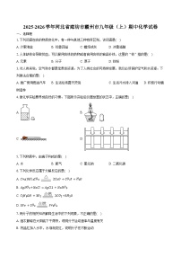 2025-2026学年河北省廊坊市霸州市九年级（上）期中化学试卷（含答案）