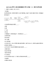 2025-2026学年上海市浦东模范中学九年级（上）期中化学试卷（含答案）