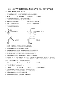 2025-2026学年新疆和田地区墨玉县九年级（上）期中化学试卷（含答案）