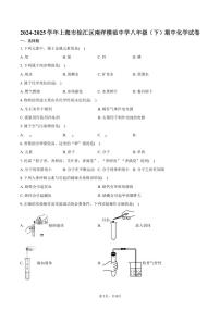 2024-2025学年上海市徐汇区南洋模范中学八年级（下）期中化学试卷（含答案）