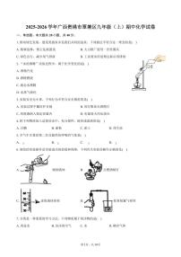 2025-2026学年广西贵港市覃塘区九年级（上）期中化学试卷（含答案）