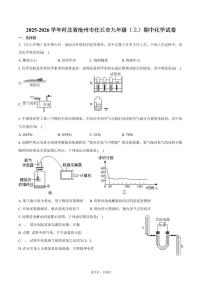 2025-2026学年河北省沧州市任丘市九年级（上）期中化学试卷(含答案)