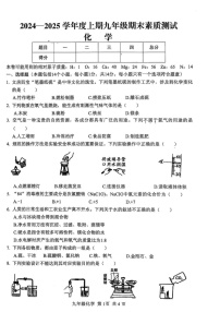 河南省驻马店市上蔡县2024-2025学年九年级上学期期末素质测试化学试卷